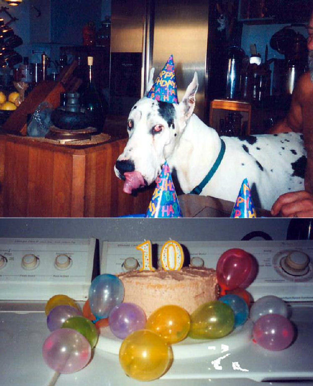 Chev at 10